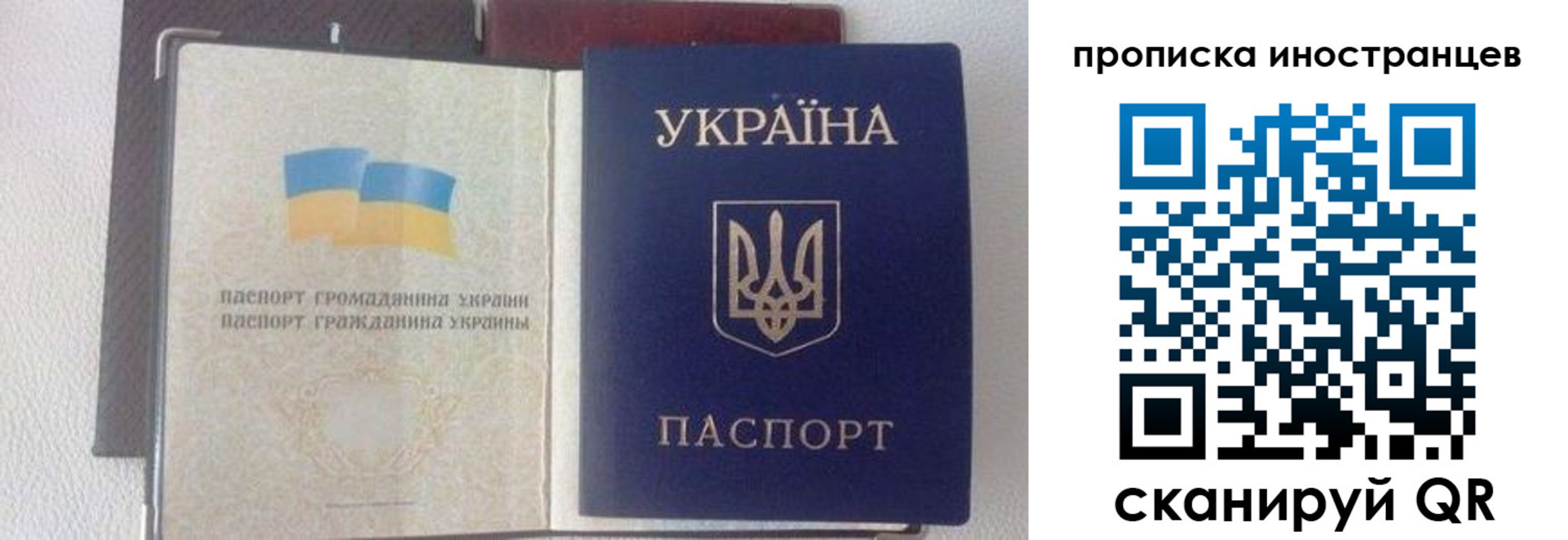 регистрация в Чите